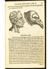 De humana physiognomonia, 1618