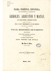 Flora Forestal Española. Atlas, 1884 -1890