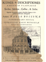 Icones & descriptiones rariorum plantarum, 1674