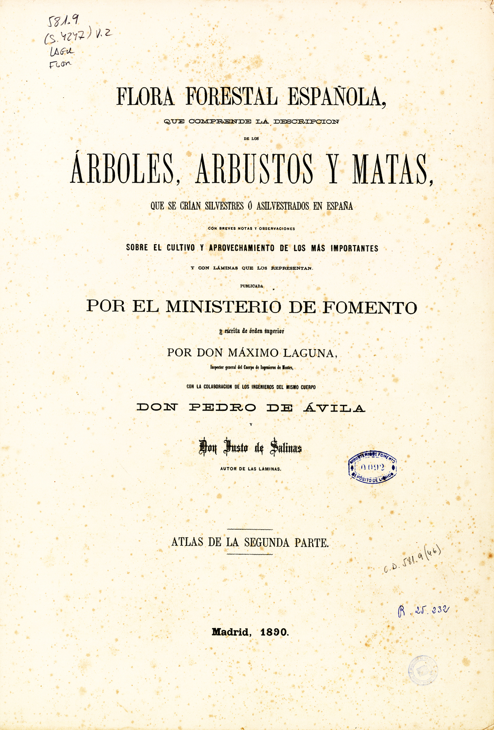 Flora Forestal Española. Atlas, 1884 -1890